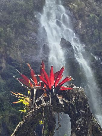 Purace Senderismo, Ruta De Las Cascadas