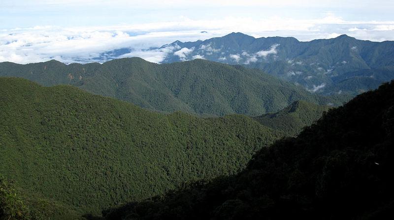 Senderismo En El Parque Nacional Natural Munchique
